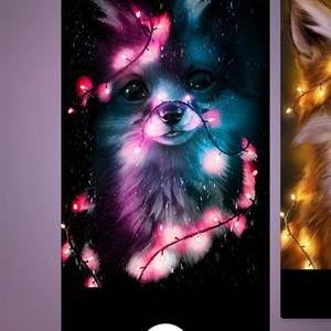 Meet your Posher, Jayda